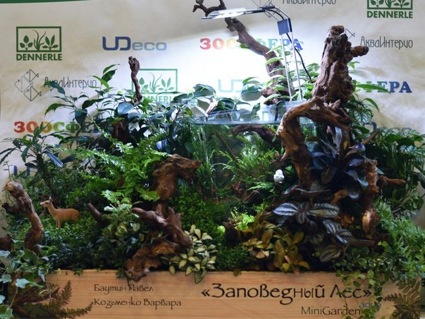 Конкурс UDeco Mini Garden aqua 2015